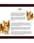 Pembrook Welsh Corgi-Heritage History Dog Breed Portrait