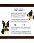 Boston Terrier-Heritage History Dog Breed Portrait