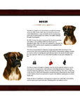 Boxer-Heritage History Dog Breed Portrait