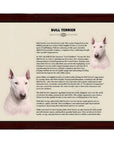 Bull Terrier-Heritage History Dog Breed Portrait