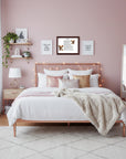 Chihuahua-Heritage History Dog Breed Portrait in room with a Neatly made bed with decorative pillows in a bedroom with pink walls and shelves.