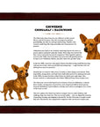Chiweenie (Chihuahua + Dachshund)-Heritage History Dog Breed Portrait