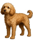 Cockapoo (Cocker Spaniel + Poodle)-Heritage History Dog Breed Portrait