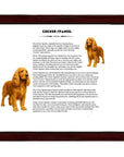 Cocker Spaniel-Heritage History Dog Breed Portrait