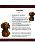 Dachshund-Heritage History Dog Breed Portrait