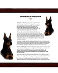 Doberman Pinscher-Heritage History Dog Breed Portrait