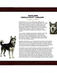 Huskador (Siberian Husky + Labrador)-Heritage History Dog Breed Portrait
