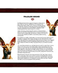 Pharaoh Hound-Heritage History Dog Breed Portrait