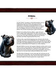 Pitbull-Heritage History Dog Breed Portrait