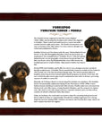 Yorkiepoo (Yorkshire Terrier + Poodle)-Heritage History Dog Breed Portrait