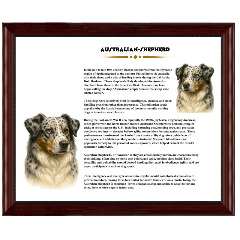 Heritage History Dog Breed Portrait Collection Display is a Doberman Pinscher with dog image on left and heritage history on right in a 16x20 black wood frame