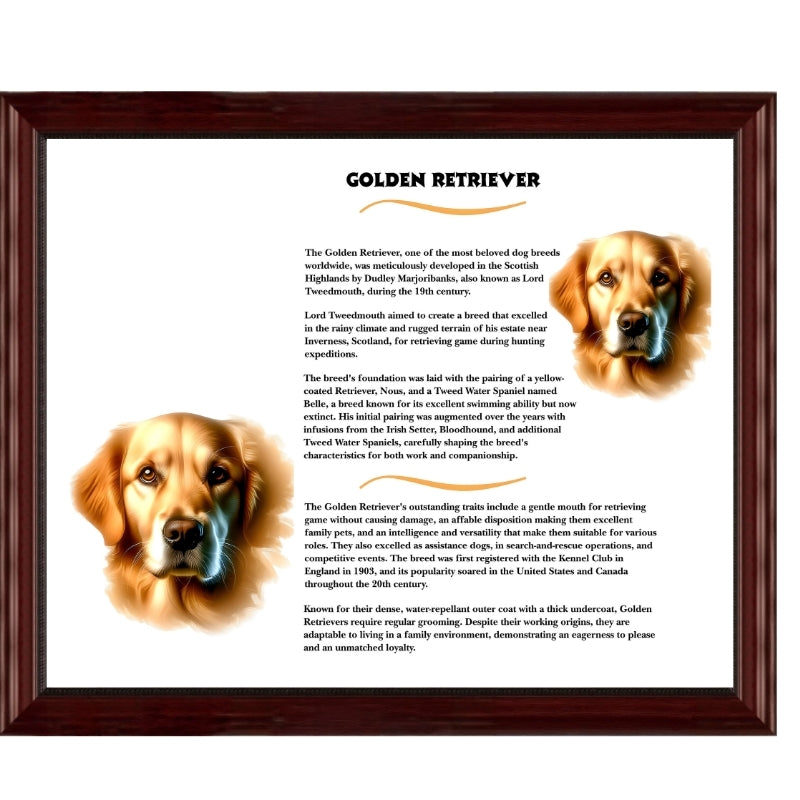 Heritage History Portrait Collection-Working Dog Breeds. Lady holding a 16x20 tan framed portrait of a Border Collie