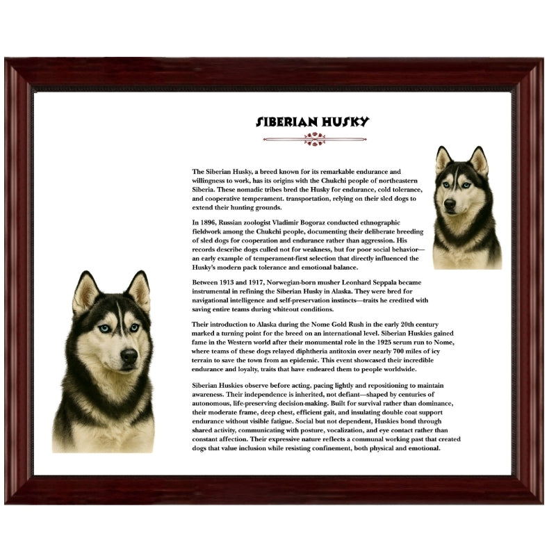 Heritage History Portrait Collection-Most Popular Dog Breeds - Display of a Labrador Retriever and history in a black 16x20 frame held by a woman.