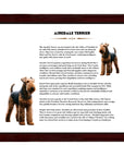 Airedale Terrier-Heritage History Dog Breed Portrait