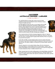 Aussiedor (Australian Shepherd + Labrador)-Heritage History Dog Breed Portrait