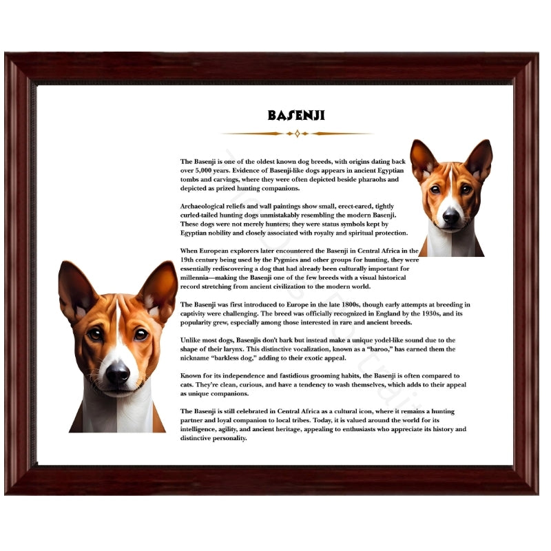 Basenji-Heritage History Dog Breed Portrait