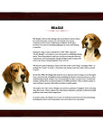 Beagle-Heritage History Dog Breed Portrait