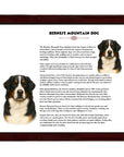 Bernese Mountain Dog-Heritage History Dog Breed Portrait