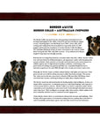 Border Aussie (Border Collie + Australian Shepherd)-Heritage History Dog Breed Portrait