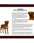 Boxador (Boxer + Labrador Retriever)-Heritage History Dog Breed Portrait