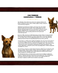 Chi-Terrier (Chihuahua+Terrier)-Heritage History Dog Breed Portrait
