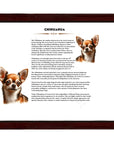 Chihuahua-Heritage History Dog Breed Portrait