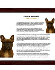 French Bulldog-Heritage History Dog Breed Portrait