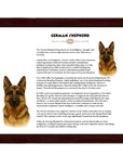 German Shepherd-Heritage History Dog Breed Portrait