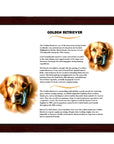 Golden Retriever-Heritage History Dog Breed Portrait