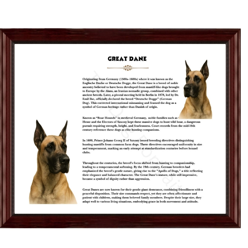 Great Dane-Heritage History Dog Breed Portrait