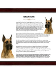 Great Dane-Heritage History Dog Breed Portrait