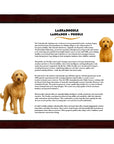 Labradoodle (Labrador + Poodle)-Heritage History Dog Breed Portrait