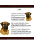 Mastiff-Heritage History Dog Breed Portrait