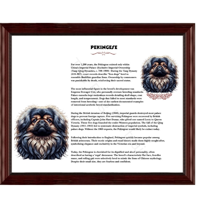 Pekingese-Heritage History Dog Breed Portrait