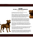 Pitador (Pitbull + Labrador Retriever)-Heritage History Dog Breed Portrait
