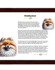 Pomeranian-Heritage History Dog Breed Portrait