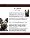 Rat Terrier-Heritage History Dog Breed Portrait