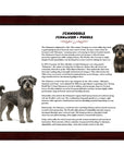 Schnoodle (Schnauzer + Poodle)-Heritage History Dog Breed Portrait
