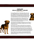 Sheprador (German Shepherd + Labrador)-Heritage History Dog Breed Portrait
