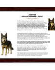 Shepsky (German Shepherd + Siberian Husky)-Heritage History Dog Breed Portrait
