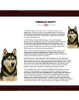 Siberian Husky-Heritage History Dog Breed Portrait