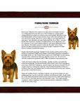 Yorkshire Terrier-Heritage History Dog Breed Portrait