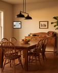 Australian-Shepherd-dining-room